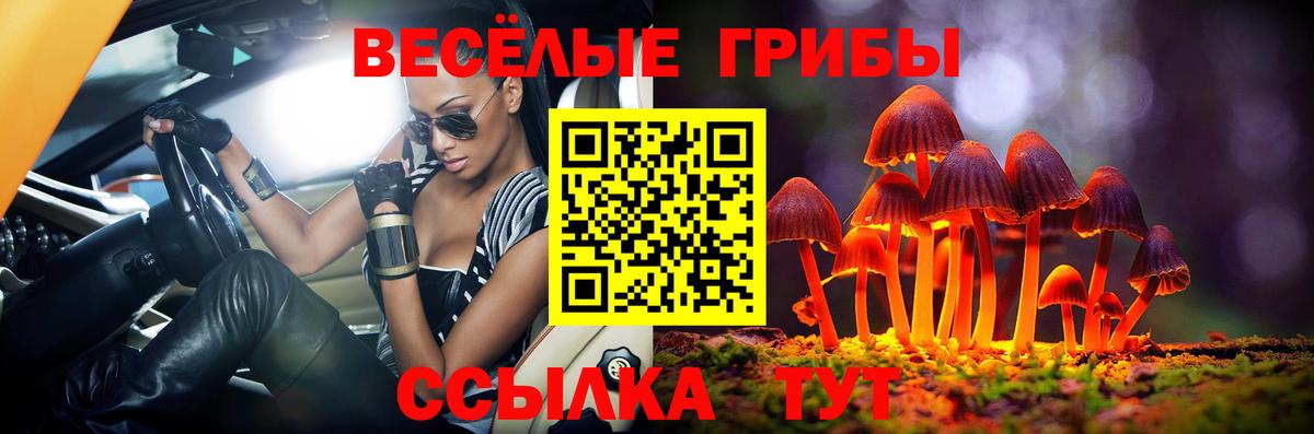 Псилоцибиновые грибы Psilocybine cubensis Новотроицк