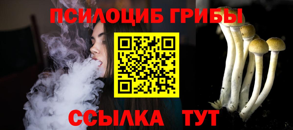 Галлюциногенные грибы GOLDEN TEACHER  Вход с VPN  Новотроицк  Галлюциногенные грибы Magic Shrooms 